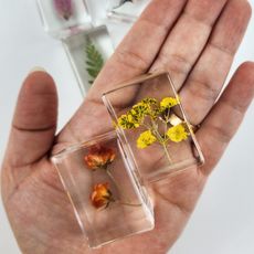 크리스탈 수지 식물 표본 장식 투명 아크릴 촬영장 카페 거실 인테리어 장식 소품, B 베고니아