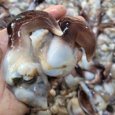 야들야들 식감좋은 손질 새조개, 1개, 200g (10-15미 내외)