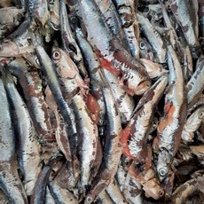 기장 생멸치 소금간 - 멸치젓 부산 대변항 액젓 김장, 15kg, 1개, 25년 3월 봄멸치