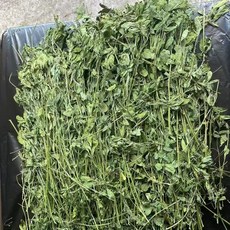 乾燥苜蓿草，家畜優質飼料，富含纖維維生素，1公斤裝, 1個
