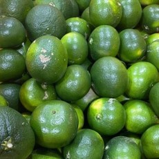제철365 산지직송 제주도 청귤 풋귤, 1개, 청귤 못난이 4.5kg