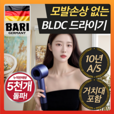 4세대 프리미엄 초고속 BLDC 헤어 드라이기 항공모터 LED, 로얄블루
