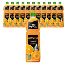 미닛메이드 제주감귤, 1.5L, 12개