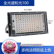 식물성장등 램프 다육이 50W 조명등 재배등 100W, 1개, 핑크라이트100W