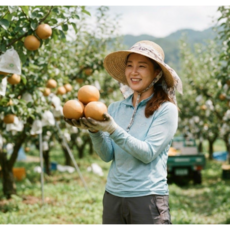 25년 수확 햇 알뜰 나주배 가정용, 4.8kg(산지직송 세이프추천 BEST 7-8과), 1개