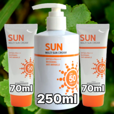 푸드어홀릭 멀티 선크림 펌프 250ml 1개 + 튜브 70ml 2개 세트, 390ml