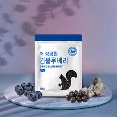 산과들에 건 블루베리 100g 2봉 200g 건과일, 2개