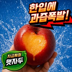 [선착순딜] 만원의행복 새콤달콤 천상의맛 대석자두, 1박스, 1kg