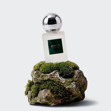 름서울 서웊숲 여자 남자 공용 향수(쇼핑백 세트), 1개, 15ml
