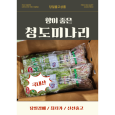 싱싱한 국내산 미나리 쌈용 신선 청도미나리, 1개, 500g