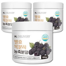 고창 복분자 분말 가루 100% 국산 발효 농축분말 식약청인증 에이치딜리버리, 3박스, 150g