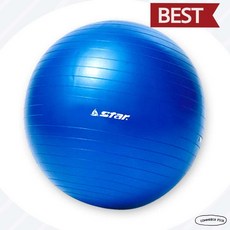 스타스포츠 짐볼 45cm 미니 블루 EB210-07