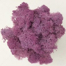 인공 녹색 식물 영원한 생명 DIY 잔디 홈 룸 미니 가짜 50g, 17)10g, Taro purple