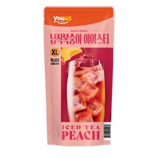 유어스 납작복숭아아이스티 L, 12개, 500ml