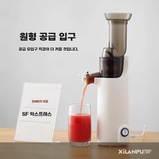 당근착즙기 생과일 녹즙기 쥬서 원액기 과일 착즙기 사과 주방용, B형