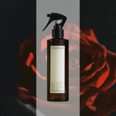 카사바시아 미술관 룸스프레이 섬유향수 멀티퍼퓸 필로우미스트, 1개, 250ml, 로즈 느와