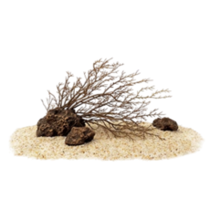 鯨魚網購 魚缸濾心 高效過濾 簡易安裝 耐用材質 適用多種尺寸, 南美風枯木造景套裝, 1個