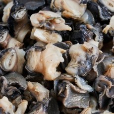 [산지직배송] 신선함이 살아있는 국내산 왕우렁이 잡맛 없는 풍미, 1개, 국내산 왕우렁이 1kg