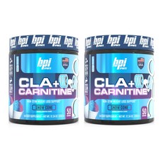 비피아이스포츠 CLA + 카르니틴 오메가 6 불포화지방산 스노우 콘, 350g, 2개