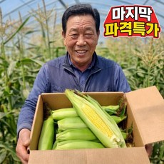 [하루30박스특가] 26년첫수확 고당도 특품 초당옥수수, 1박스, 5개