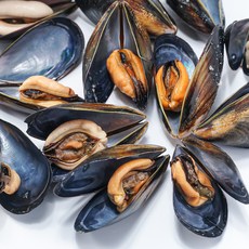 제철밥상 남해안 다듬이 홍합, 1개, 5kg