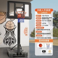 兒童籃球架 籃球框 室外室內投籃 家用籃球架 可移動戶外陞降標準籃球架, 【視頻款】通用升級款 +護套+球, 1個
