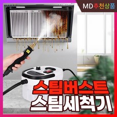 스팀버스트 고압 스팀세척기 고온 스팀세차 세척기 세차기 자동차 살균 냉장고 후드 주방용