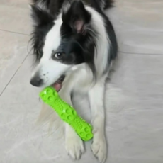 멍냥이월드 강아지 라텍스 뼈다귀 장난감, 연두, 1개