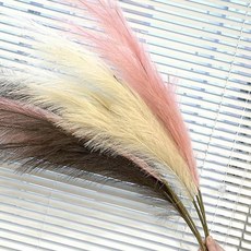 3색 가짜 인테리어 인조꽃 화사한 갈대 조화 실외 WWFJ551F, 크림베이지, 1개, 크림베이지