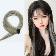 브릿지 부분가발 헤어피스 애쉬 포인트 똑딱이 핀 고정 가발, 03.코토리베이지, 1개