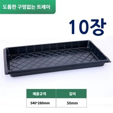 파주큰사위 전문가용 모종트레이 모종판 저면관수, 10개, 검정