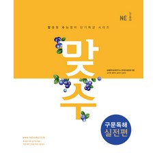 맞수구문독해 실전편, NE능률
