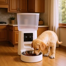 寵物自動餵食器貓寵物智能餵食器智能設備定時自動投喂帶攝像頭, 1個, 透明灰(單碗):5.5l按鍵款, 1L