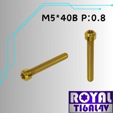 ROYAL 鈦合金螺絲 M5*40B P:0.8 錐形螺絲 四色可選, 1個, 土豪金