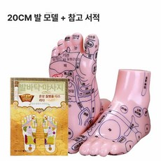 한의원 발 15cm 리플렉솔로지 모형 혈자리 실습 경혈위치 20cm 제품 마네킹 훈련, 6.20CM 발 모형+마사지 참고서