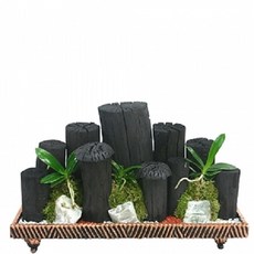 플라워365 당일배송 숯부작 숯분경 실내공기정화 식물 가습기능, 1개