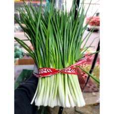 23년 제철 쪽파 싱싱함이 살아있는 깐쪽파 흙쪽파 1단, 1개