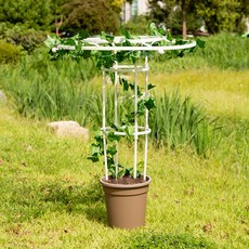 오벨리스크 장미아치 우산 넝쿨식물지지대 화이트 90cm, 1개