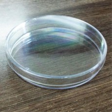미생물실험 수업용 대형 페트리접시 10개 용기 과학교구 실습