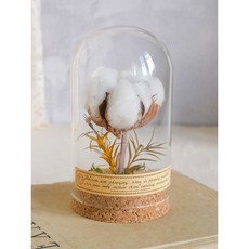 台灣熱賣復古植物標本永生花擺件，向日葵玻璃罩微景觀裝飾，桌面文藝氣息擺設, 棉花 （小號）7cm*13cm