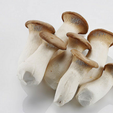 초록이네 무농약 친환경 새송이버섯, 1박스, 2kg(특품)