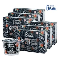 로버츠베리에 야생 블랙커런트&스트로베리 1box(100ml x 6팩), 36개, 100ml