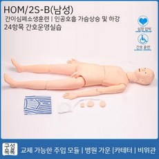 의료연습 모형 주사 간호 훈련 간호조무사 마네킹 시뮬레이터 인체, F. 여성 가슴 기복 남성 2S-B