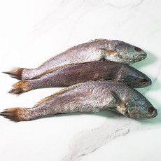 통민어 3미 1.1kg내외, 1개, 1.1kg