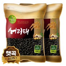 현대농산 국산 서리태 속청 500g, 2개