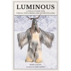 (영문도서)Luminous: A Field Guide for Visual Explorers and Storytellers Paperback, Blurb, English, 9798319982230