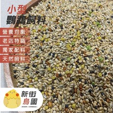 【30年老店 新街鳥園】小型鸚鵡飼料 小型鸚鵡日糧, 1個, 300G, 300G