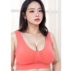 페이퍼플레인 빅사이즈 포함 메쉬 브라 브래지어