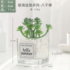 台灣出貨 熱賣 ins風仿真多肉盆栽 仙人掌綠植 客廳擺件 小盆栽裝飾品 綠植假花桌面擺設, 八千棵+ins小方玻, 1個