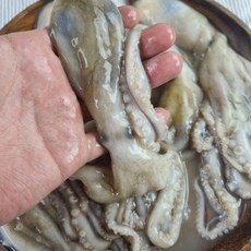 냉동 낙지 12미, 2개, 900g